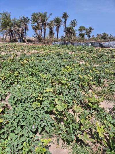 Good application of fertilisers