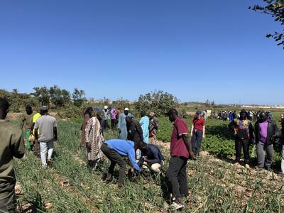 Successful field day for farmers in Kayar