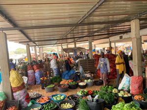 Market study horticultural supply chain Thiès (Senegal)