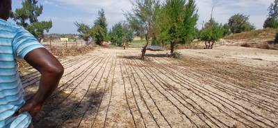 New growing season ahead 