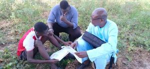 Technical sheet on Fertilization (FR)